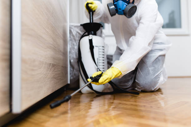 Best Commercial Pest Control Services  in Badin, NC