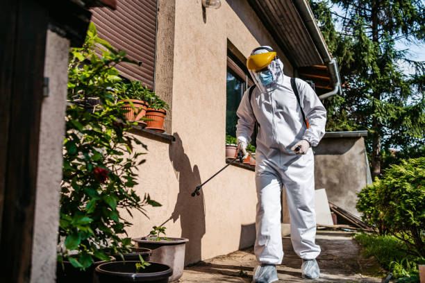 Best Wasp Removal Services  in Badin, NC