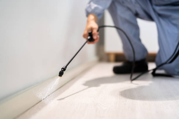 Best Best Pest Control Companies  in Badin, NC