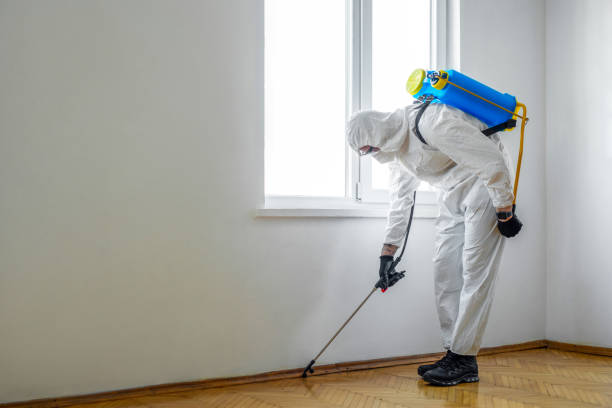 Best Termite Control Services  in Badin, NC