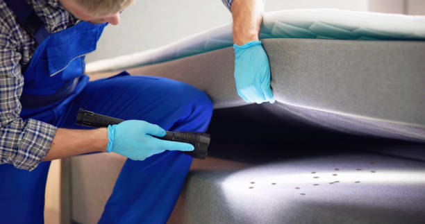 Best Affordable Pest Control Services  in Badin, NC