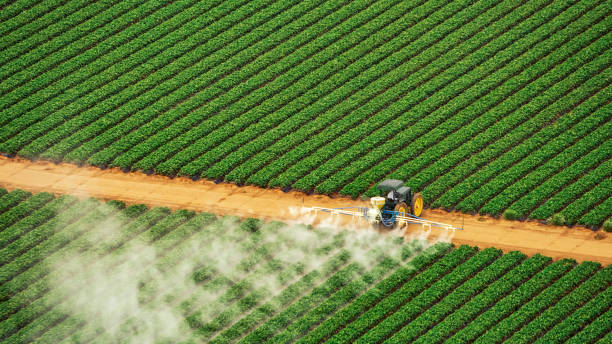 Best Pest Removal Services  in Badin, NC