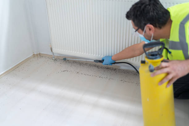 Best Exterminator Services  in Badin, NC